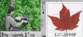 葉面積分析儀 LC-2400P