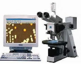 菌落克隆計(jì)數(shù) Colony Count