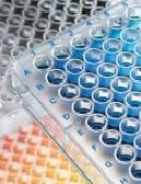 自動(dòng)藥敏試驗(yàn)菌液接種儀 DW-900