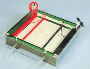 等電聚焦電泳儀 IEF-SYS