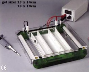 水平電泳儀 Wide Format