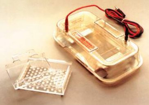 迷你型水平電泳儀 HE33