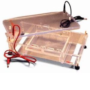 標準型水平電泳儀 HE99×MAX