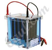 迷你電泳印跡系統(tǒng) EK-EBU-204