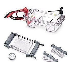 Sub System 水平電泳槽 E0310