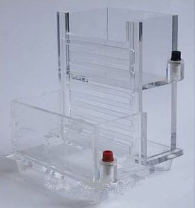 小型單垂直電泳槽 WS-DB1