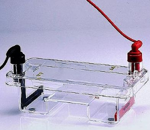 迷你水平電泳槽 1011001