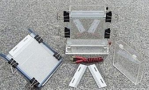 單垂直電泳槽 XH-CZ03