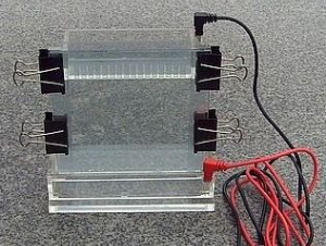 垂直電泳槽 CC-D