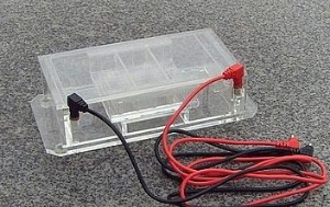 水平電泳槽 SC-D