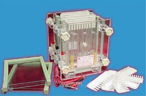 雙板夾芯式垂直電泳槽 DG-28C