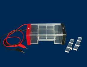 瓊脂糖水平電泳槽 RDY-SP3