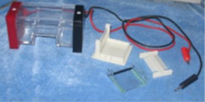 瓊脂糖水平電泳槽 RDY-SP2Z