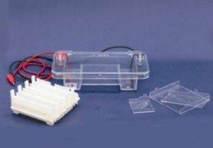 瓊脂糖水平電泳槽 RDY-SP1Z