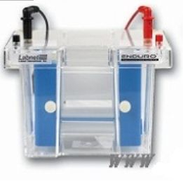 Enduro垂直電泳系統(tǒng) E2010系列