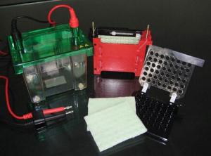 轉(zhuǎn)印電泳槽 HT-ZY02