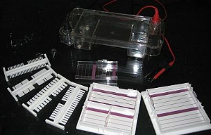 瓊脂糖多功能水平電泳槽 HT-SUB02