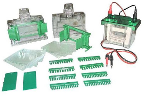 小型垂直電泳槽 LF-MINI3