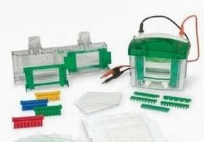 小型垂直蛋白電泳槽 Mini–PROTEAN 3