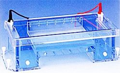 高效率冷卻式水平電泳槽 HGE Systems