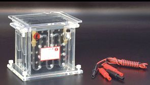 轉(zhuǎn)印電泳儀 DYCZ-40A