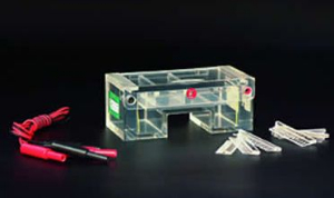 瓊脂糖水平電泳儀 DYCP-31C