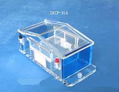 瓊脂糖水平電泳儀 DYCP-31A