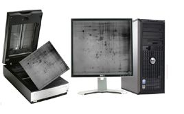 電泳光密度計(jì)分析測(cè)量系統(tǒng) BD-600