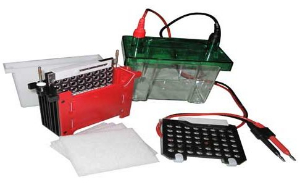 轉(zhuǎn)印電泳槽 DYC-ZY2