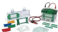 小型電泳槽 MINI PROTEAN