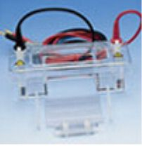 微型水平電泳槽 28559-xx