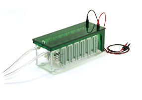 小型高通量電泳槽 biorad MP3 Dodeca