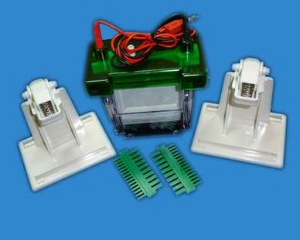 迷你雙垂直電泳槽 DYCZ-II