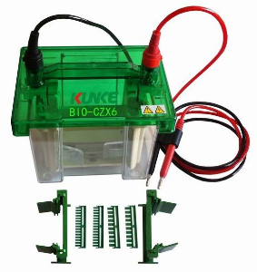 坤科小型垂直電泳槽 BIO-CZX6