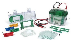 小垂直板電泳槽 165-8000