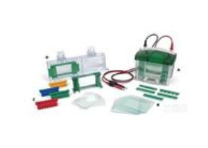 小型垂直電泳槽 164-8003