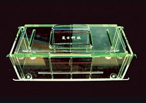 多層電泳槽 FR-180D