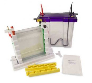 大型垂直電泳槽 VS20WAVESYS