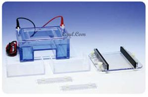中型水平電泳 E-GCMGU