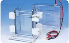 雙面垂直電泳槽 E-DSG