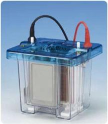 雙(膠)制冷系統(tǒng)電泳槽 E-DCX