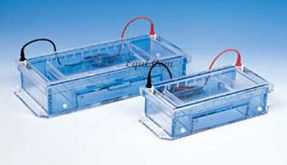 潛水式/水平電泳槽 E-SGU