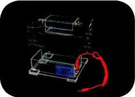 電泳槽(單垂直) DY-23