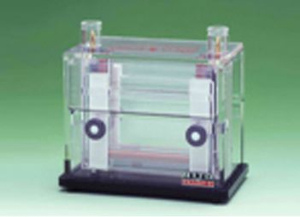 小型垂直電泳槽 AE-6500