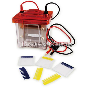 迷你雙垂直電泳槽 SQ-188