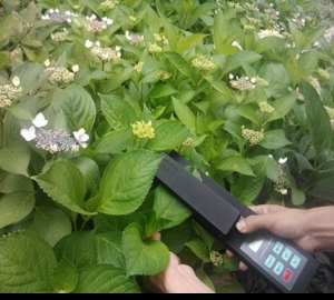 活體葉面積測(cè)量?jī)x YMJ-G